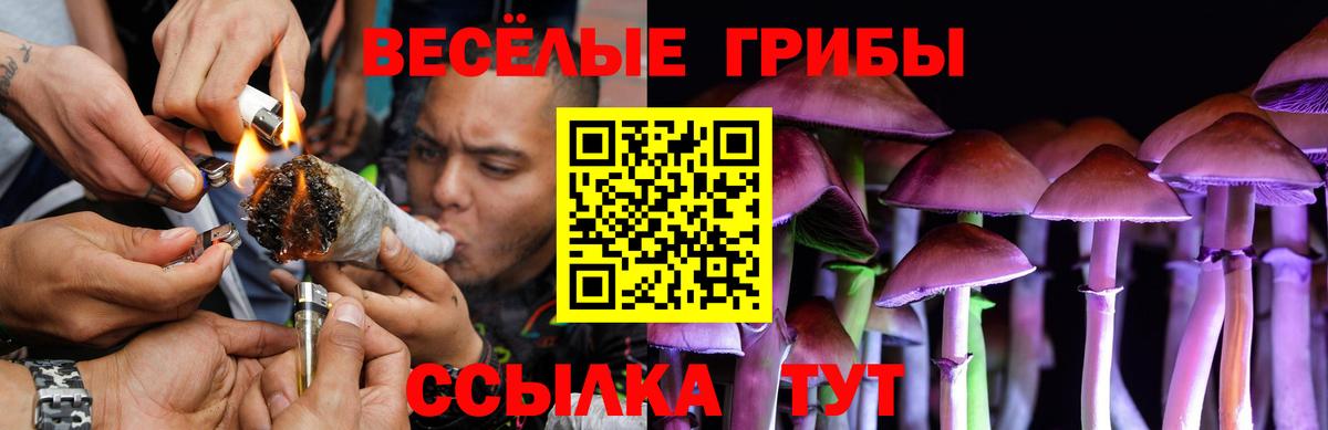 Галлюциногенные грибы мухоморы Шарыпово